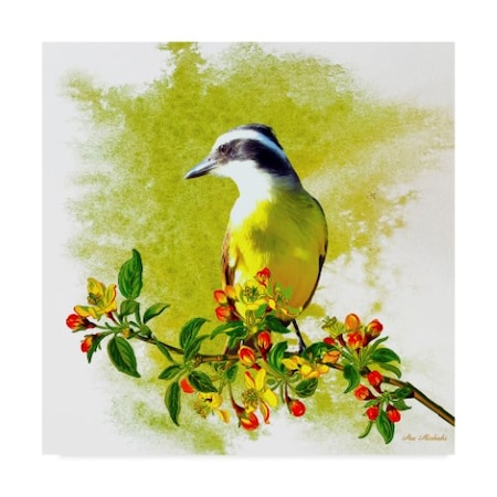 Ata Alishahi 'Bird Collection 23' Canvas Art,35x35